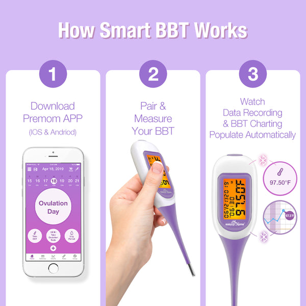 Termómetro basal inteligente Easy @ Home con aplicación gratuita para iOS y Android EBT-300 Purple